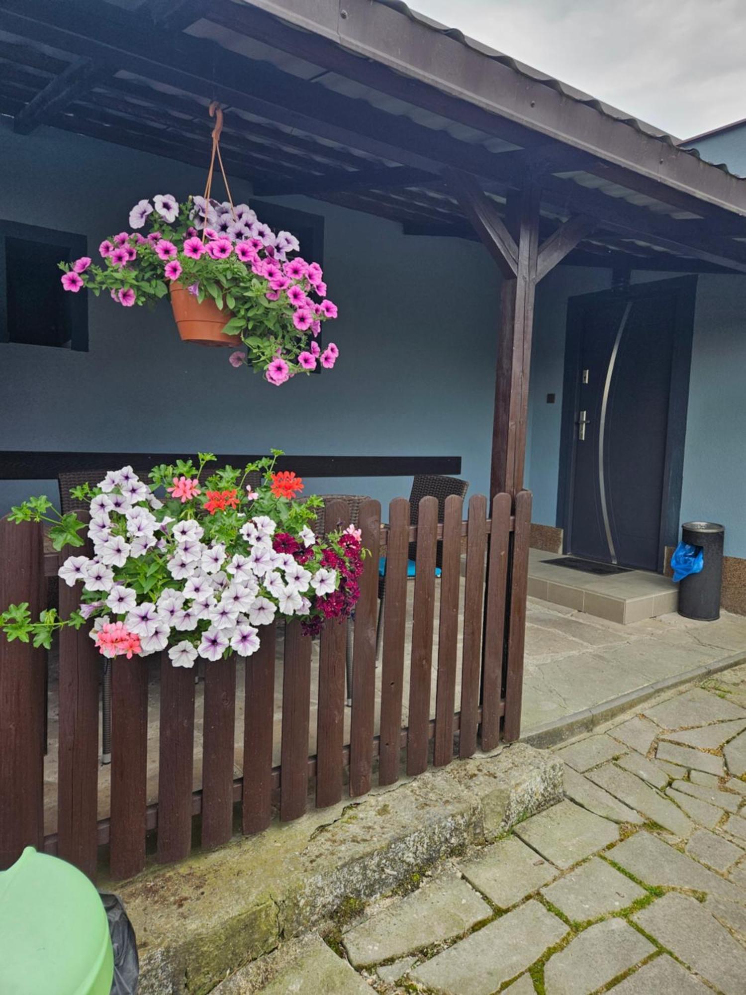 Areal Pauli Hotel Ceska Skalice Exterior photo